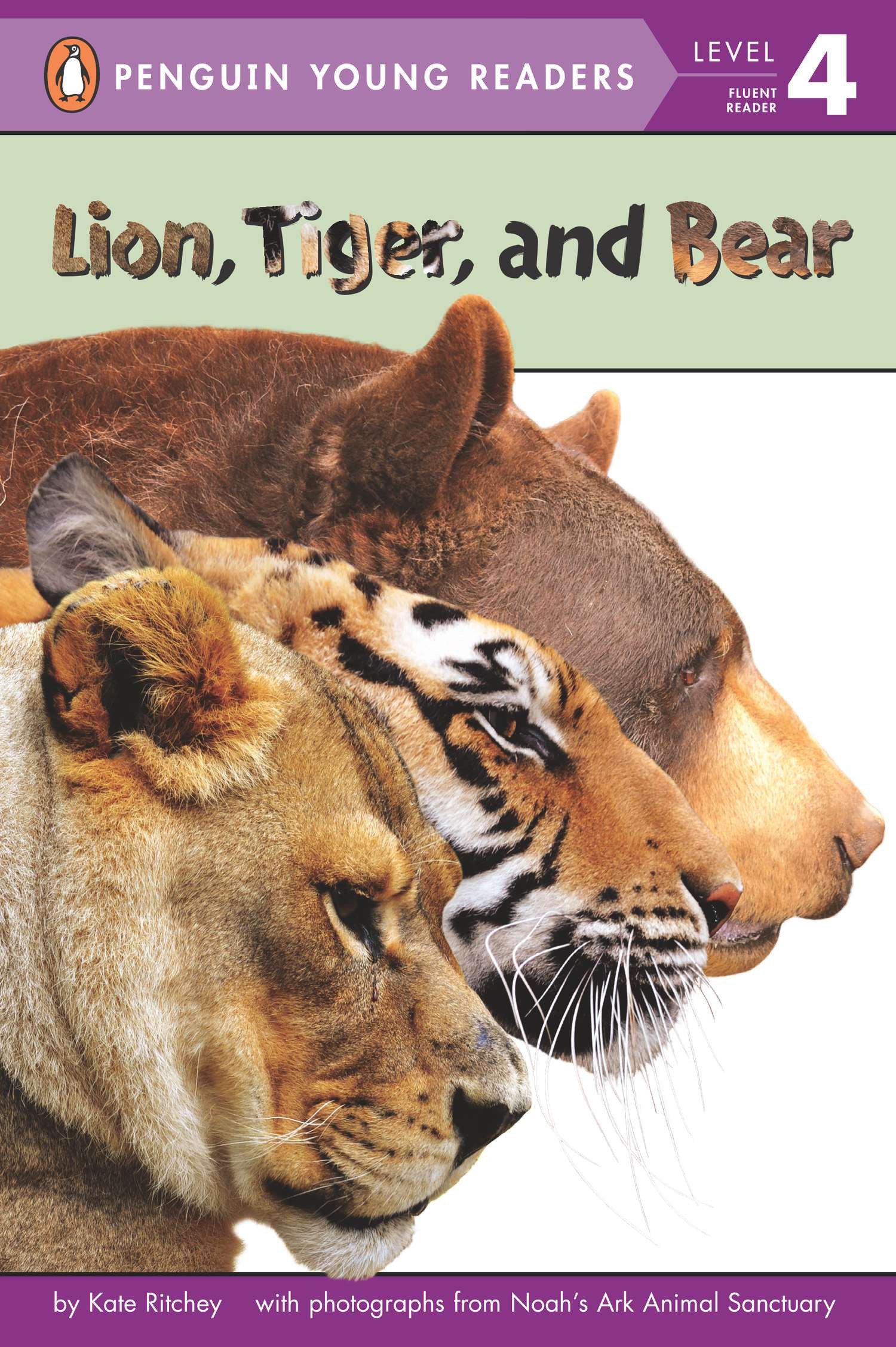 Lion, Tiger, And Bear (Paperback)