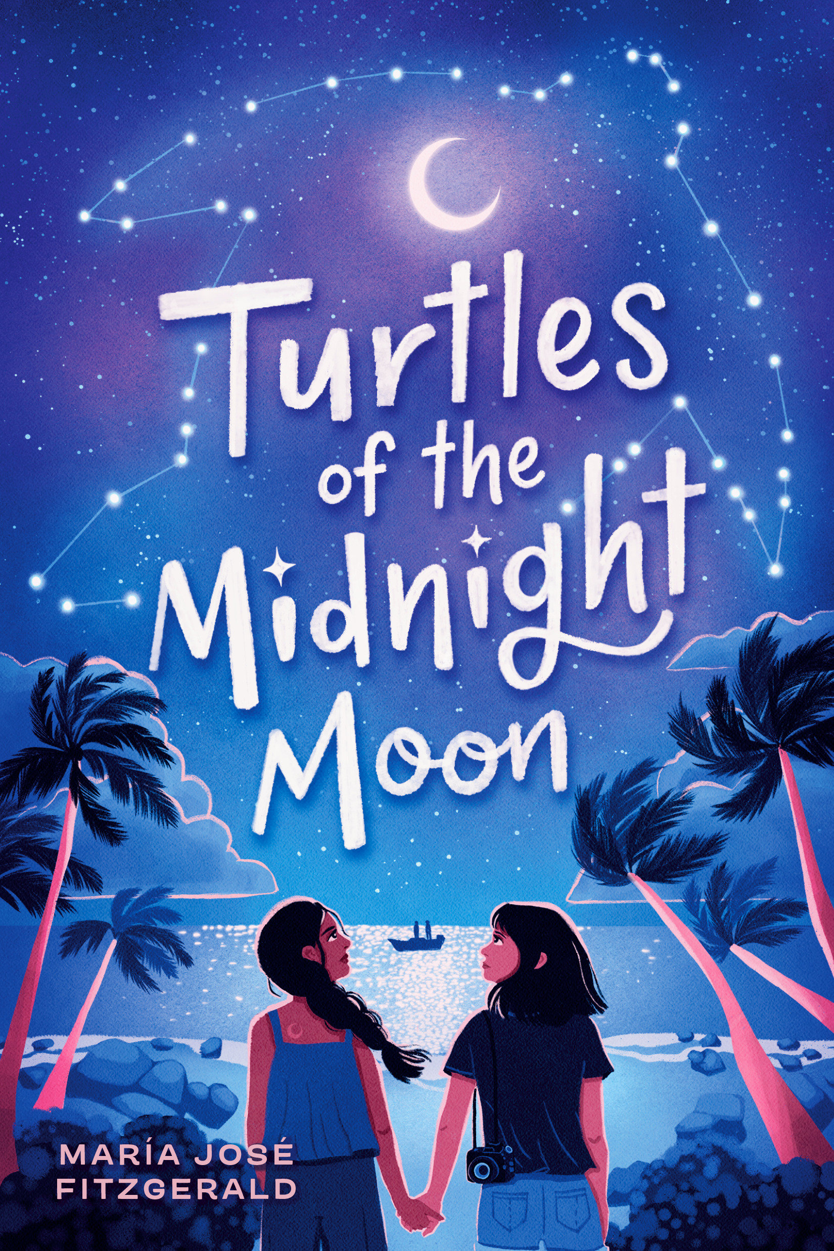 Turtles Of The Midnight Moon (Hardcover Book)