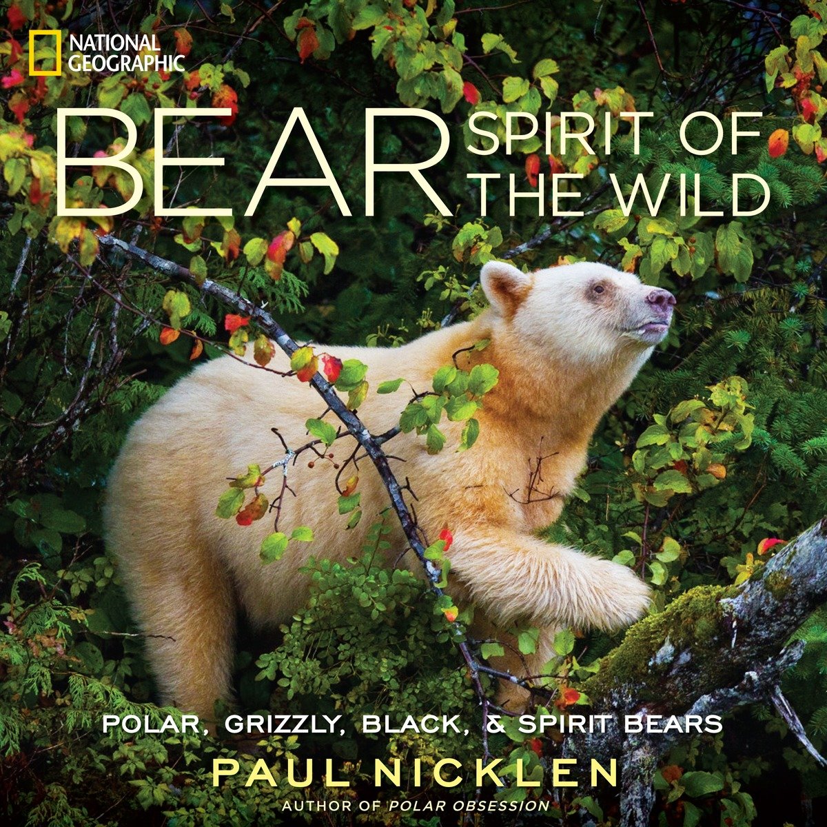 Bear (Hardcover Book)