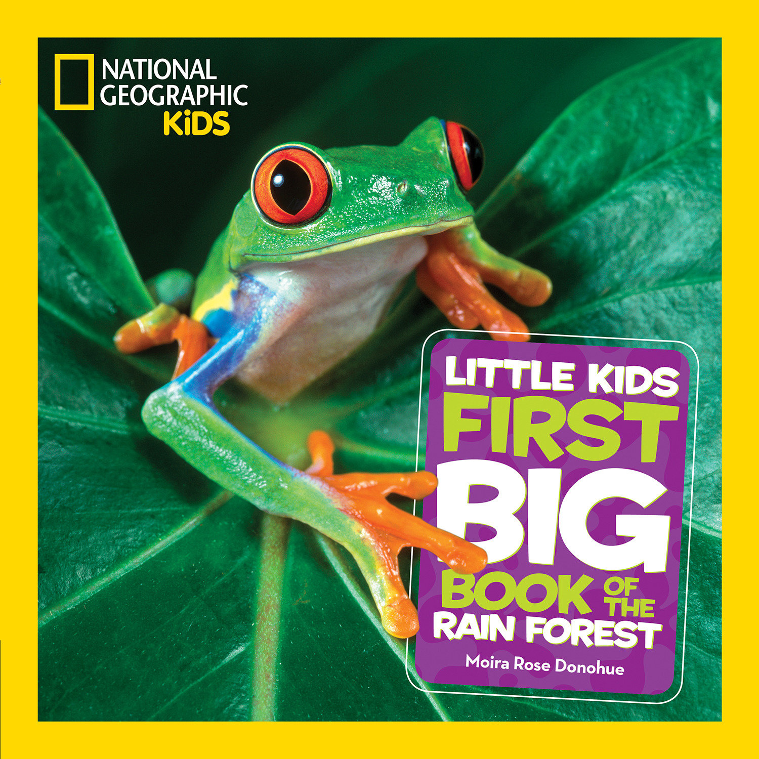 National Geographic Little Kids First Big Book Of The Rain Forest (Hardcover Book)