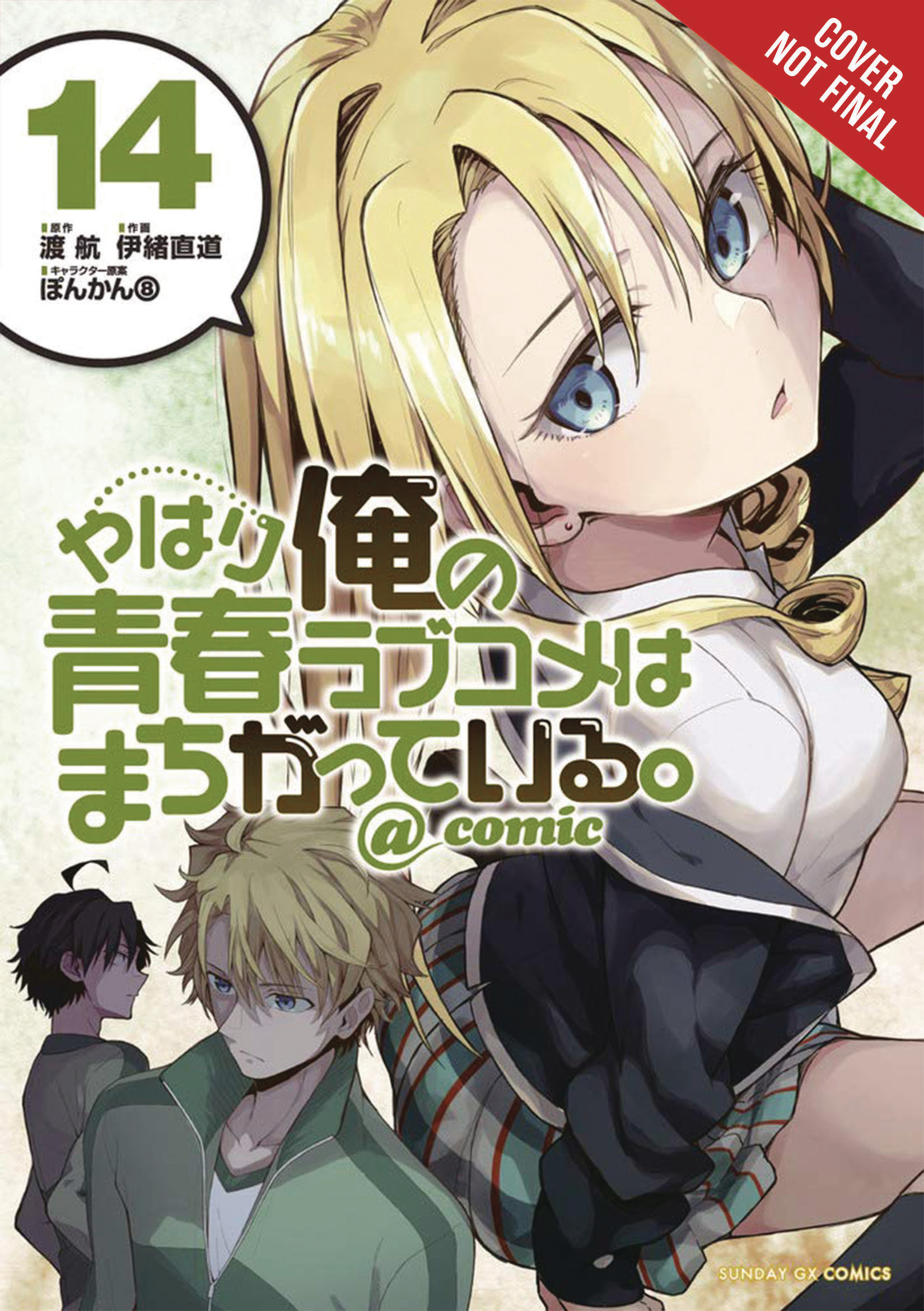 My Youth Romantic Comedy Is Wrong, As I Expected, Vol. 14 (light novel) (My  Youth Romantic Comedy Is Wrong, As I Expected, 14)