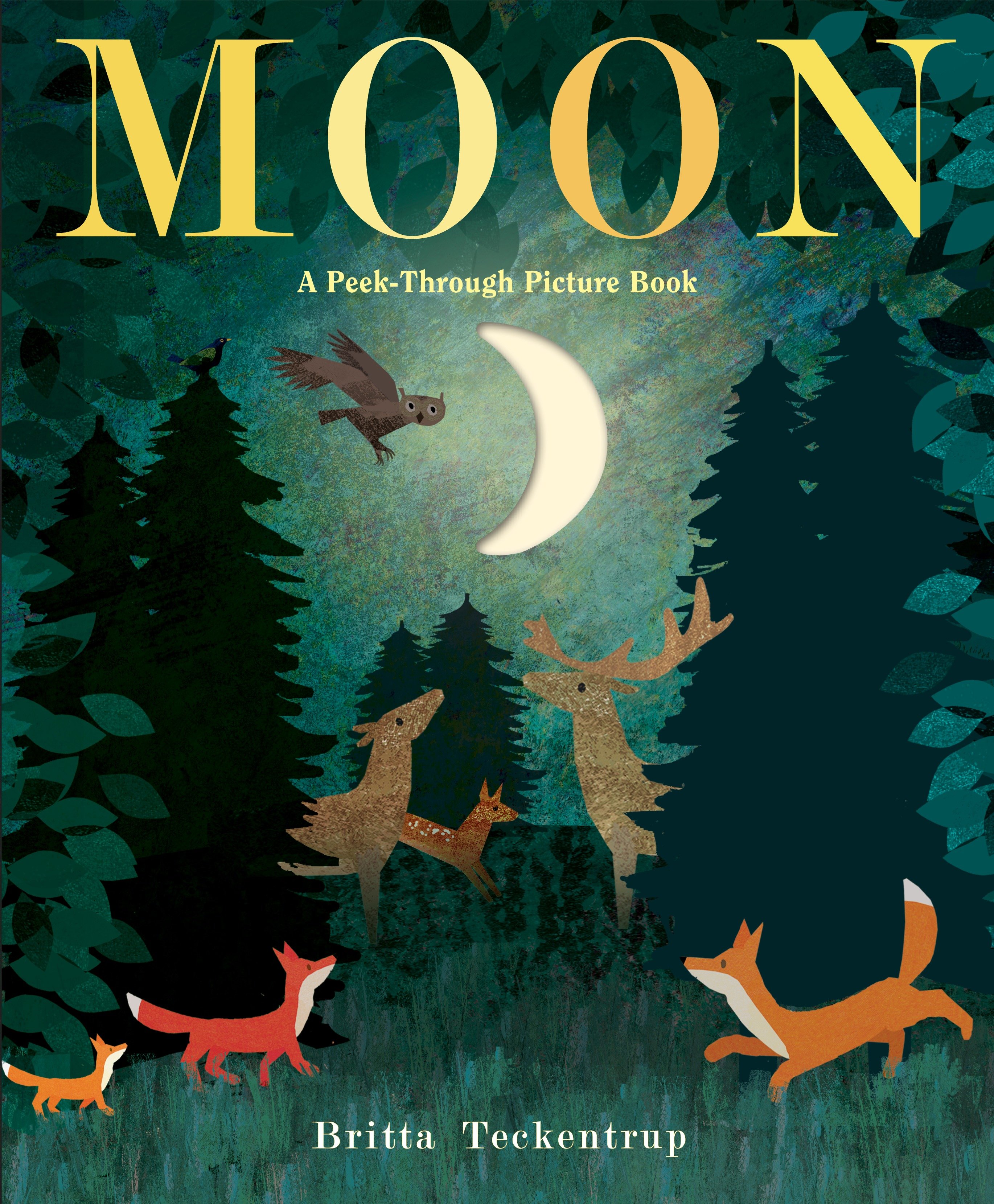 Moon: A Peek-Through Picture Book (Hardcover Book)