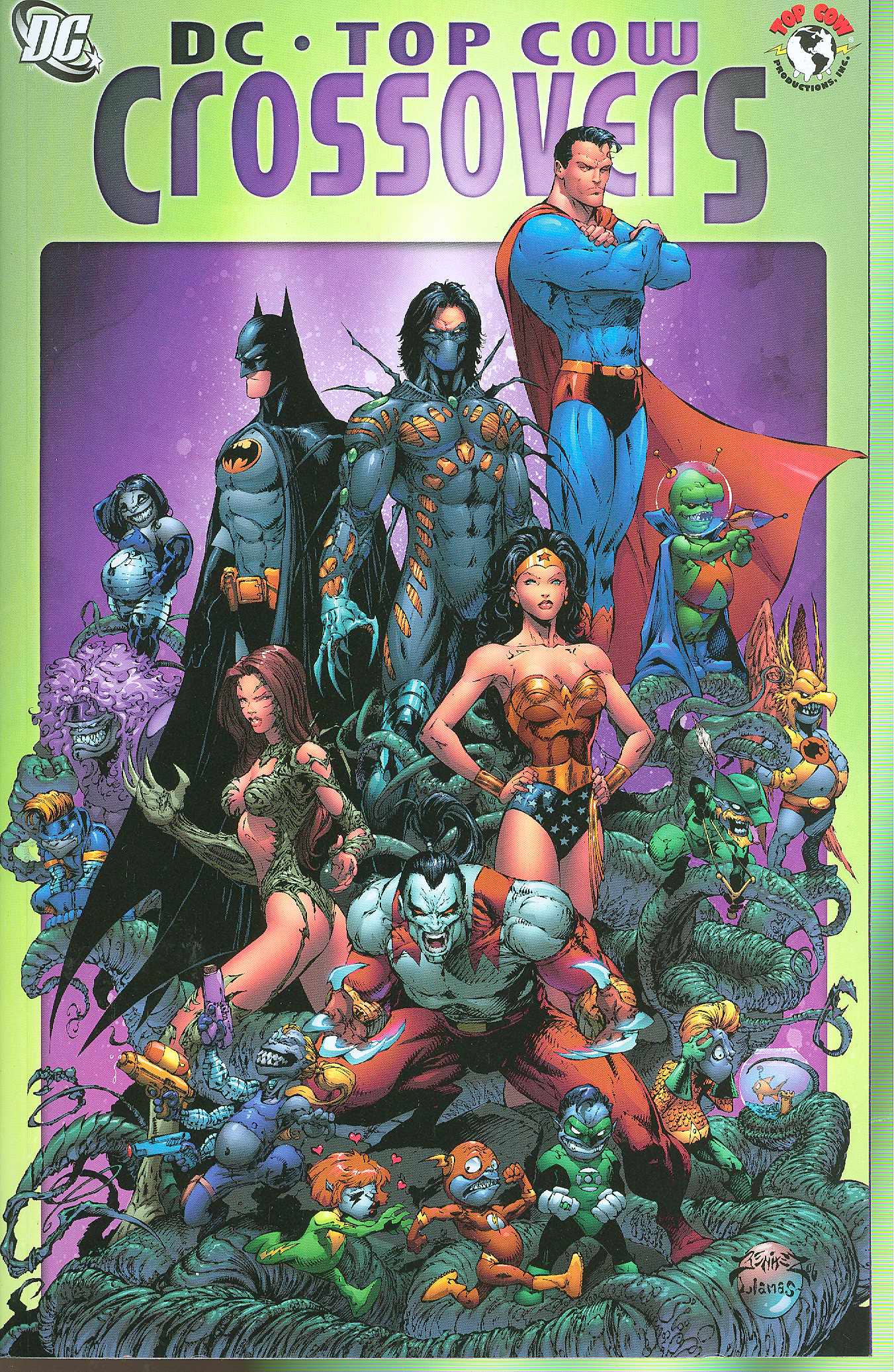 DC Top Cow Crossover Classics Graphic Novel