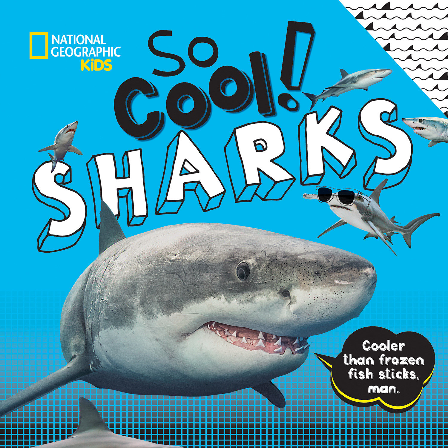 So Cool! Sharks (Hardcover Book)