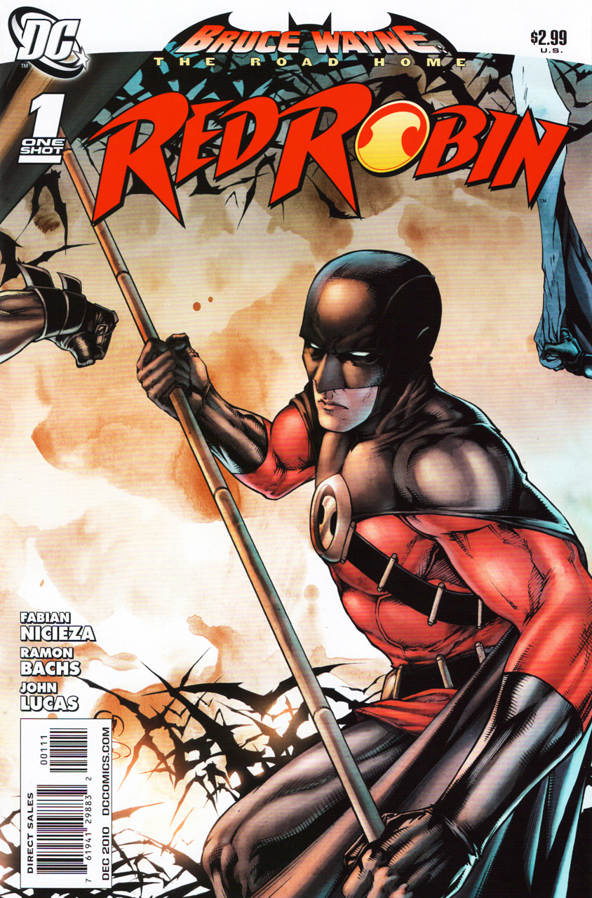 Bruce Wayne The Road Home Red Robin #1
