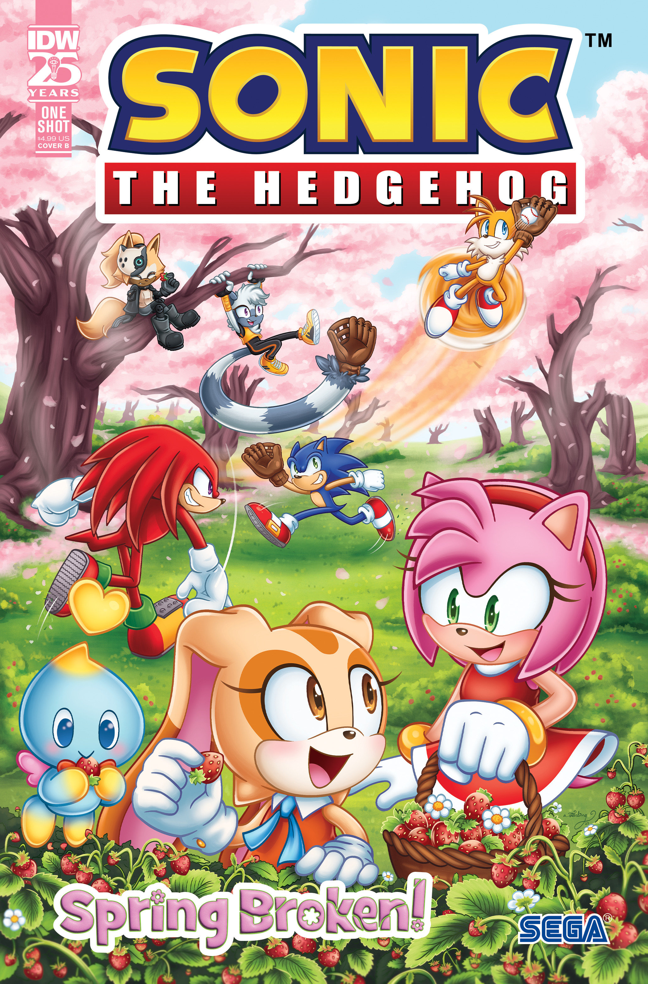 Sonic the Hedgehog: Spring Broken #1 Cover B Starling