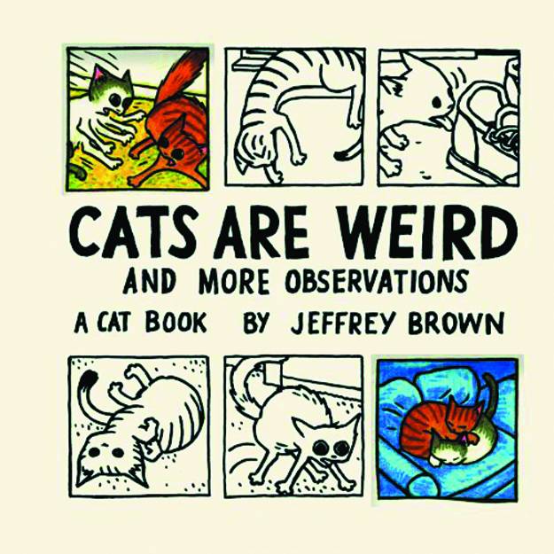 Cats Are Weird & More Observations Hardcover New Printing