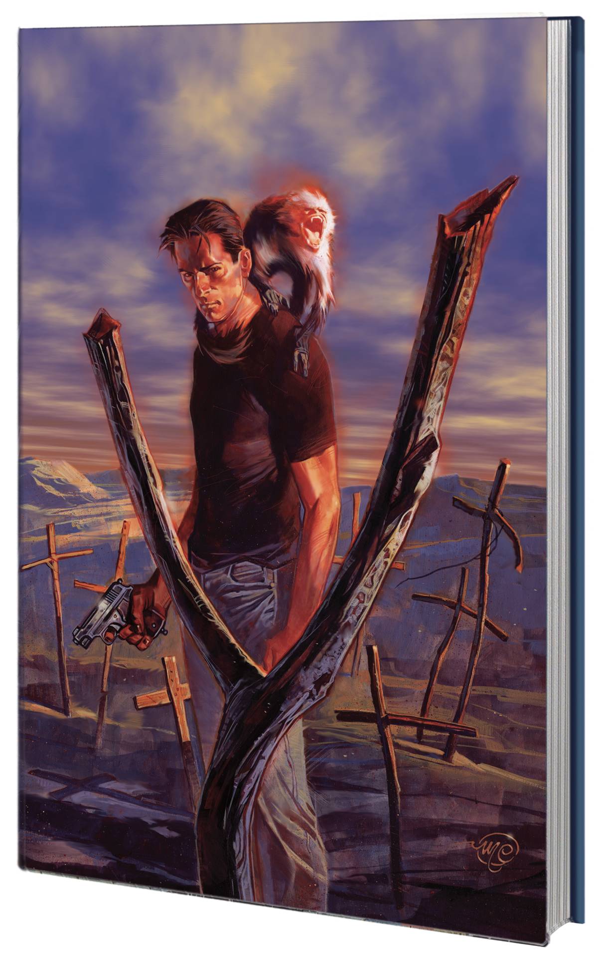 Absolute Y the Last Man Hardcover Volume 2