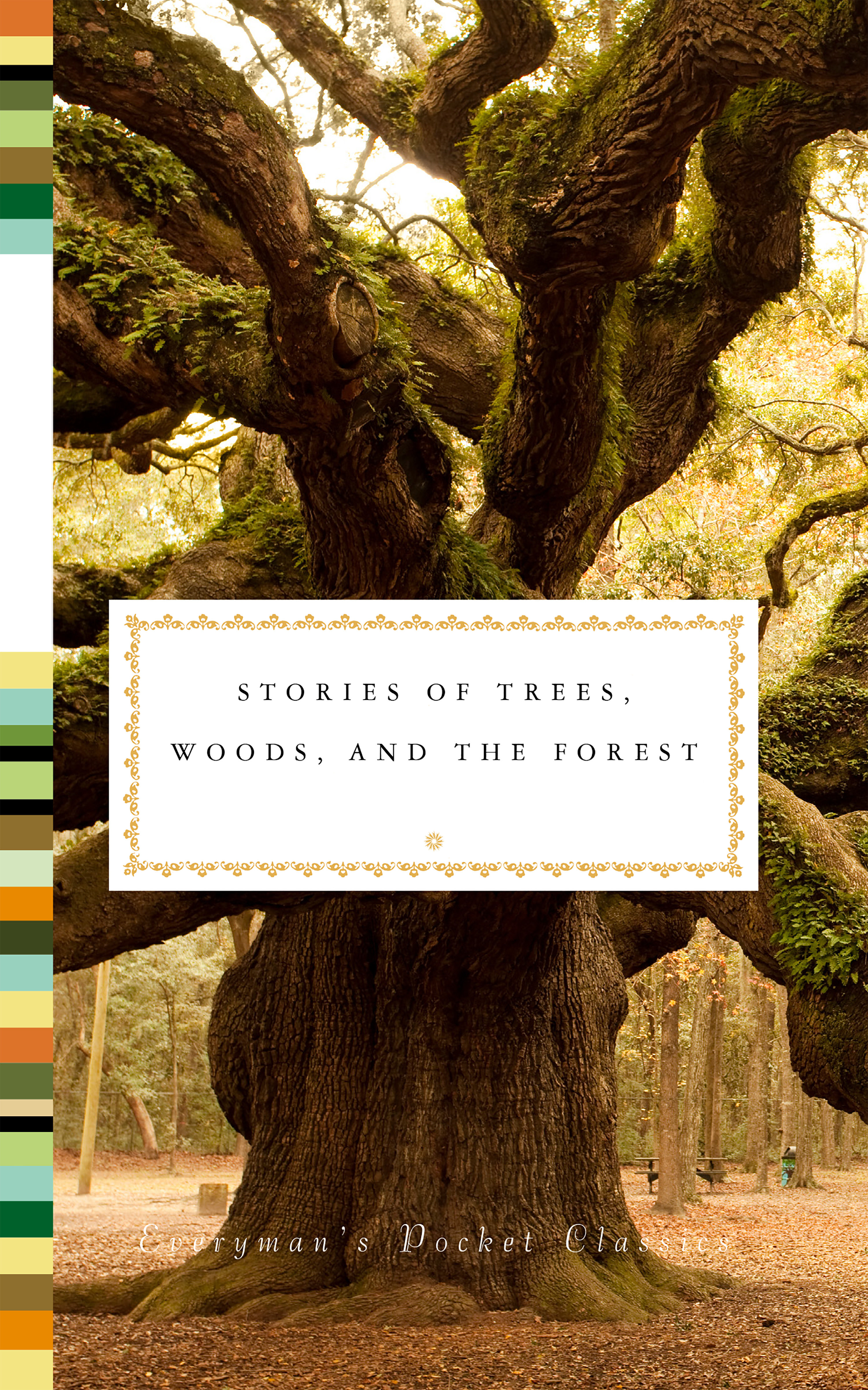 Stories Of Trees, Woods, and the Forest (Hardcover Book)