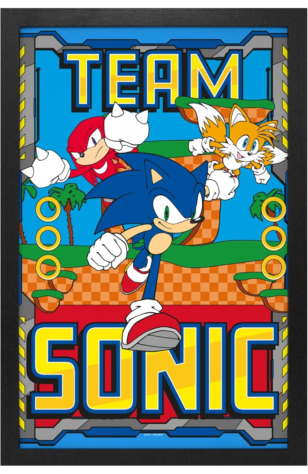 Sonic the Hedgehog - Team Sonic