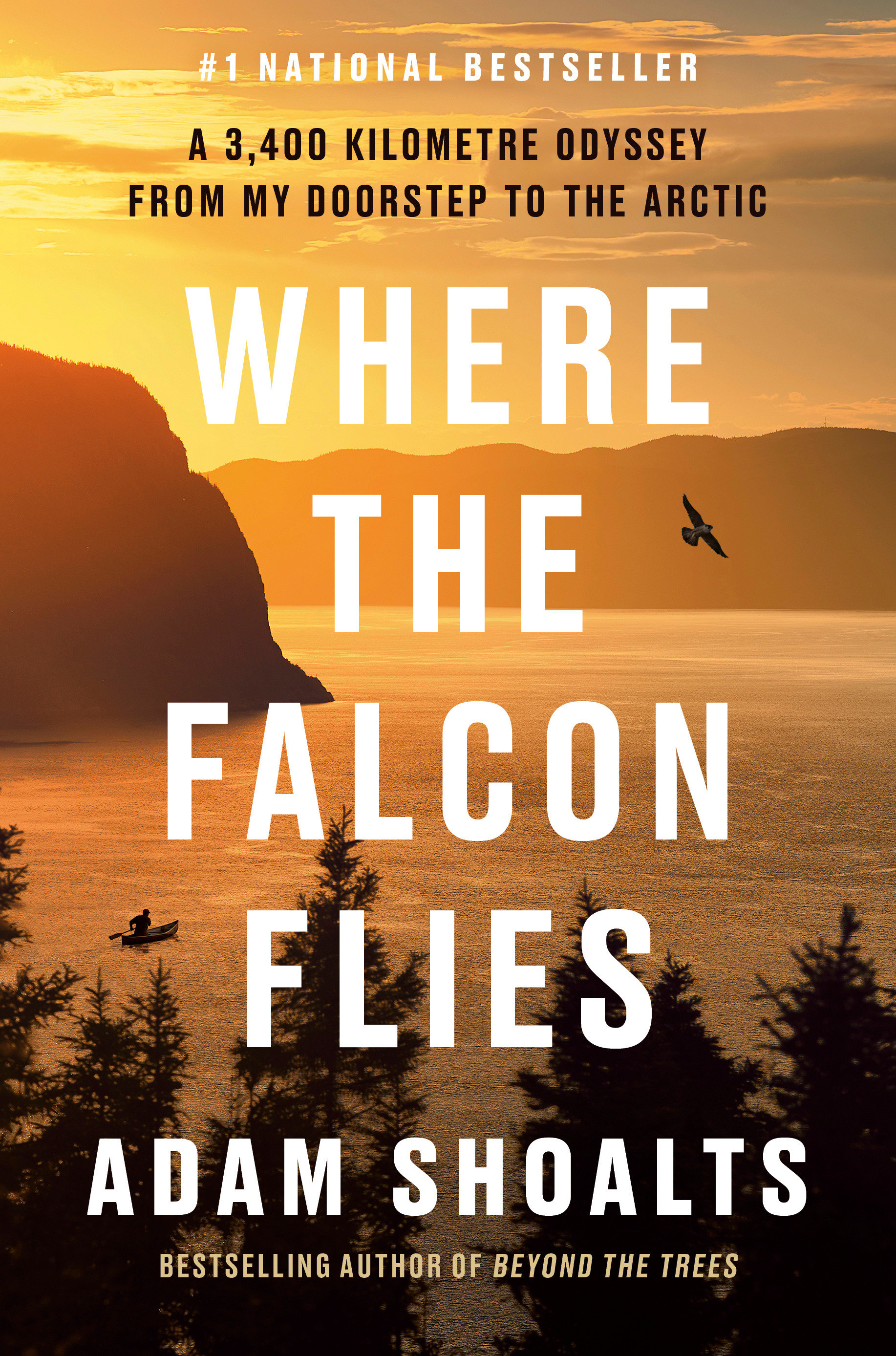 Where The Falcon Flies (Hardcover Book)