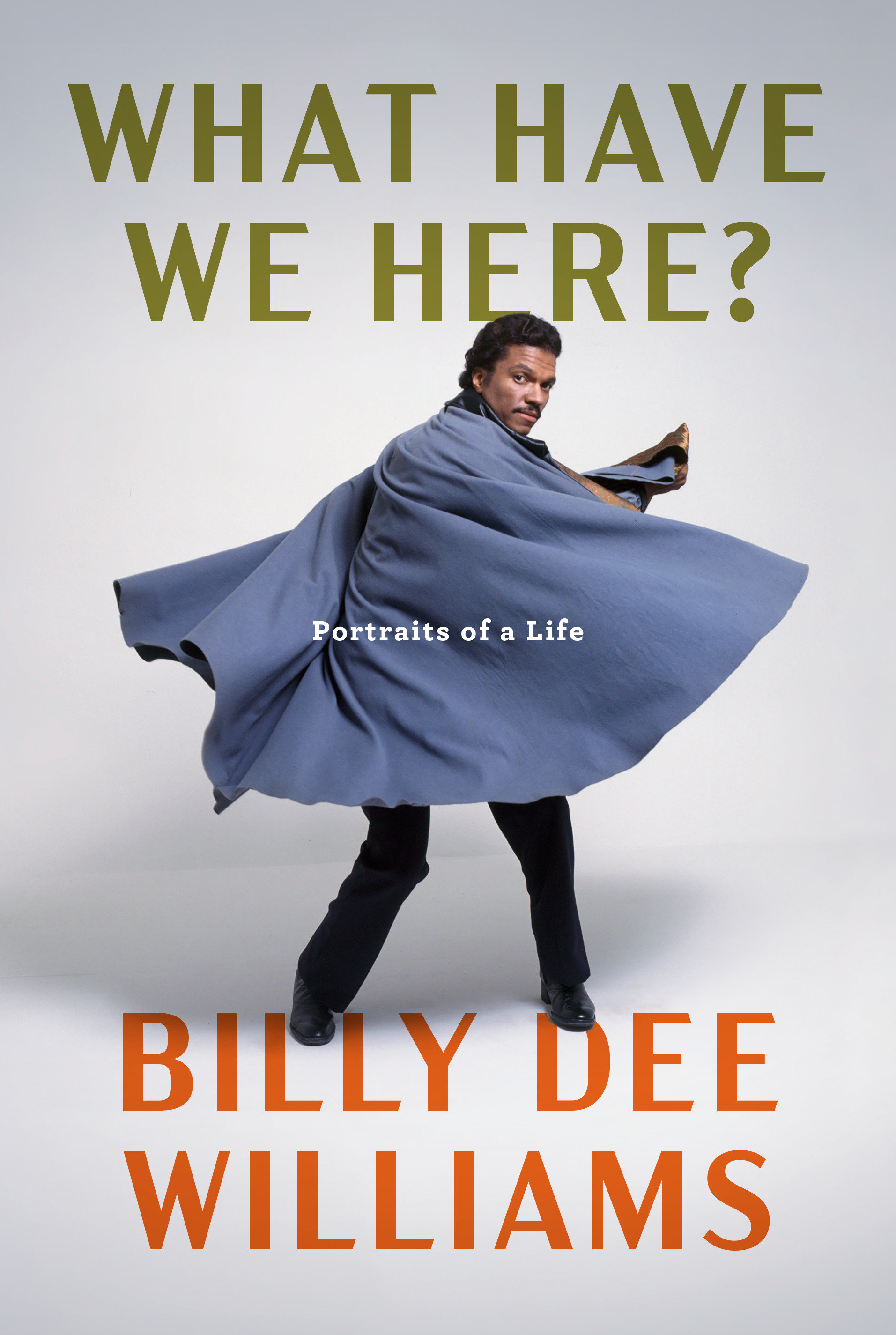 Billy Dee Williams What Have We Here Hardcover Novel