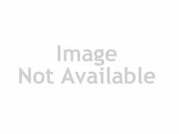 Deadpool Rockmaster Electric Guitar