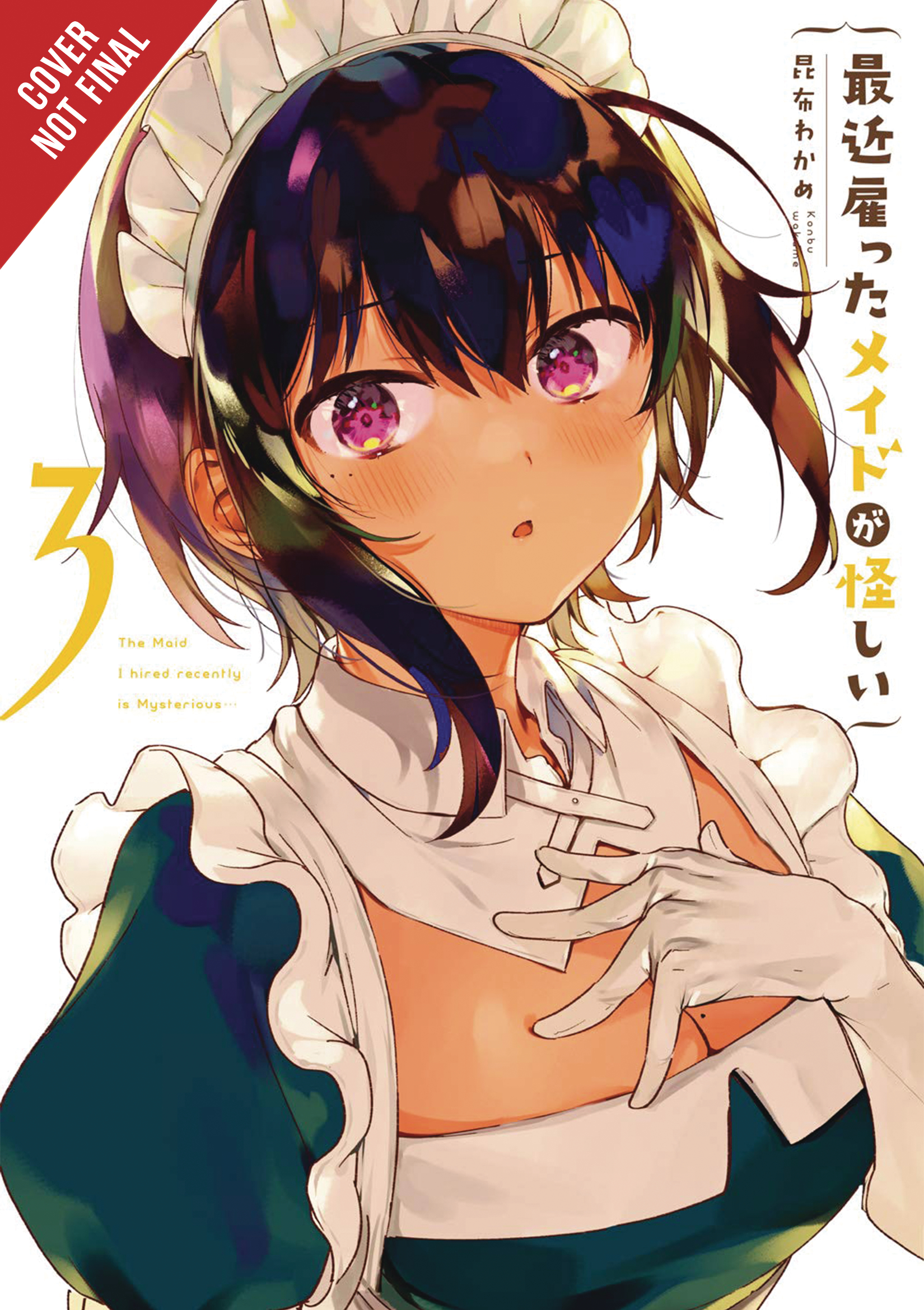 Maid I Hired Recently Is Mysterious Manga Volume 3 (Mature)