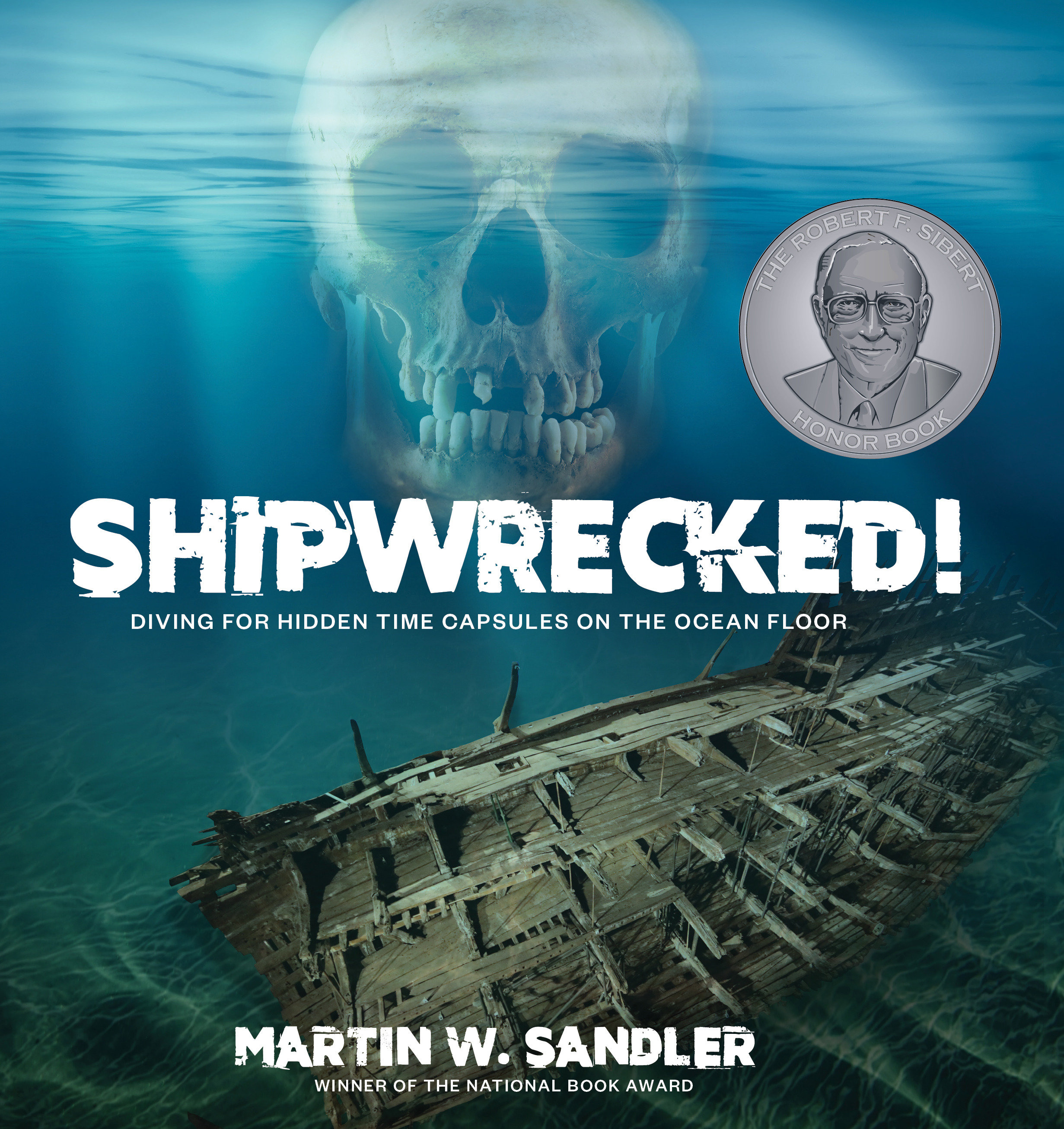Shipwrecked! (Hardcover Book)