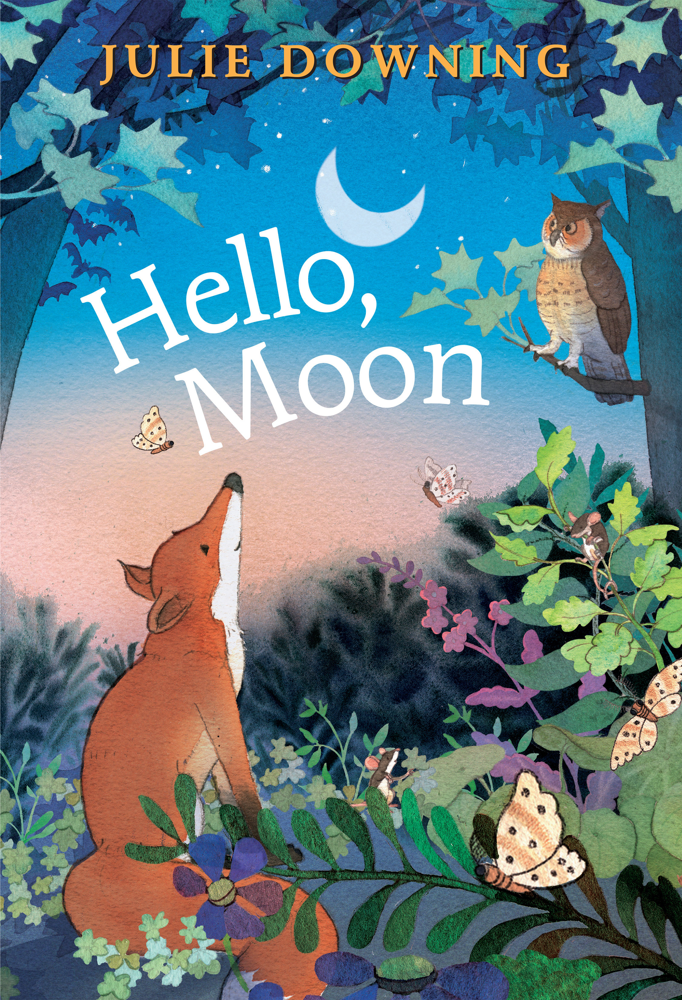 Hello, Moon (Hardcover Book)