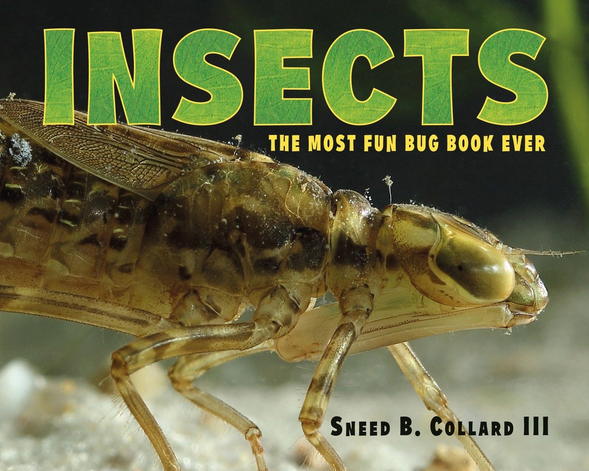 Insects (Hardcover Book)