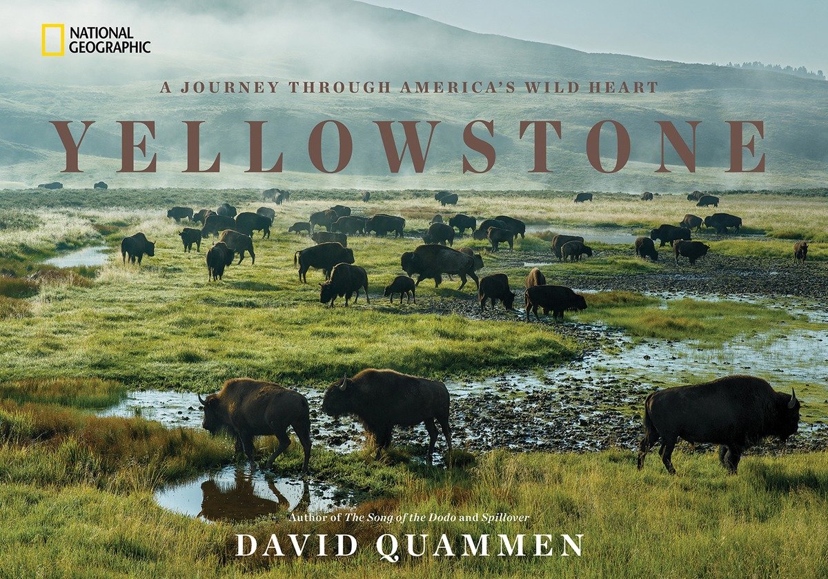 Yellowstone (Hardcover Book)