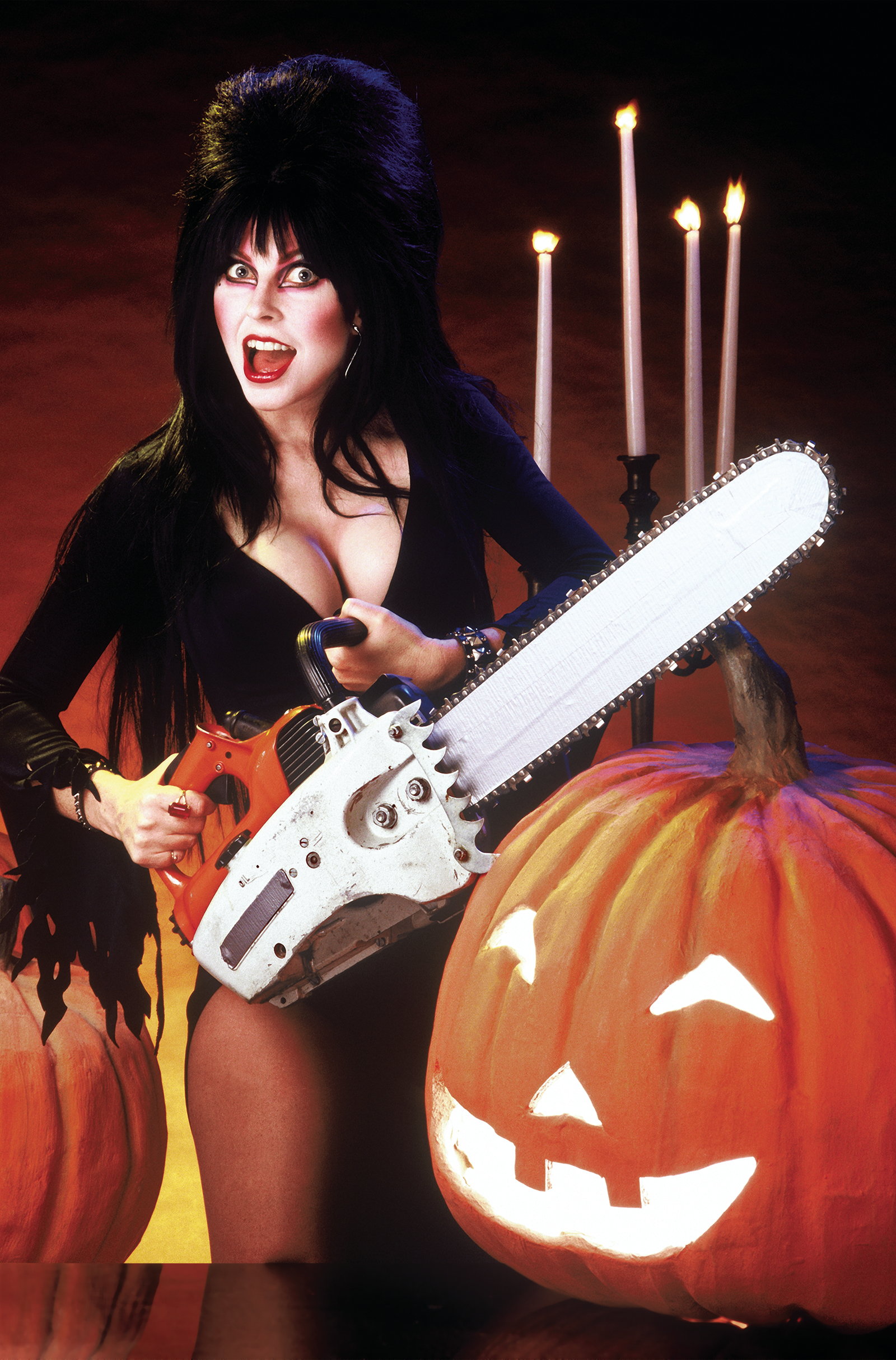 Elvira In Monsterland #5 Cover G 15 Copy Photo Virgin