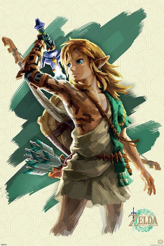 Zelda Tears of the Kingdon - Link Poster