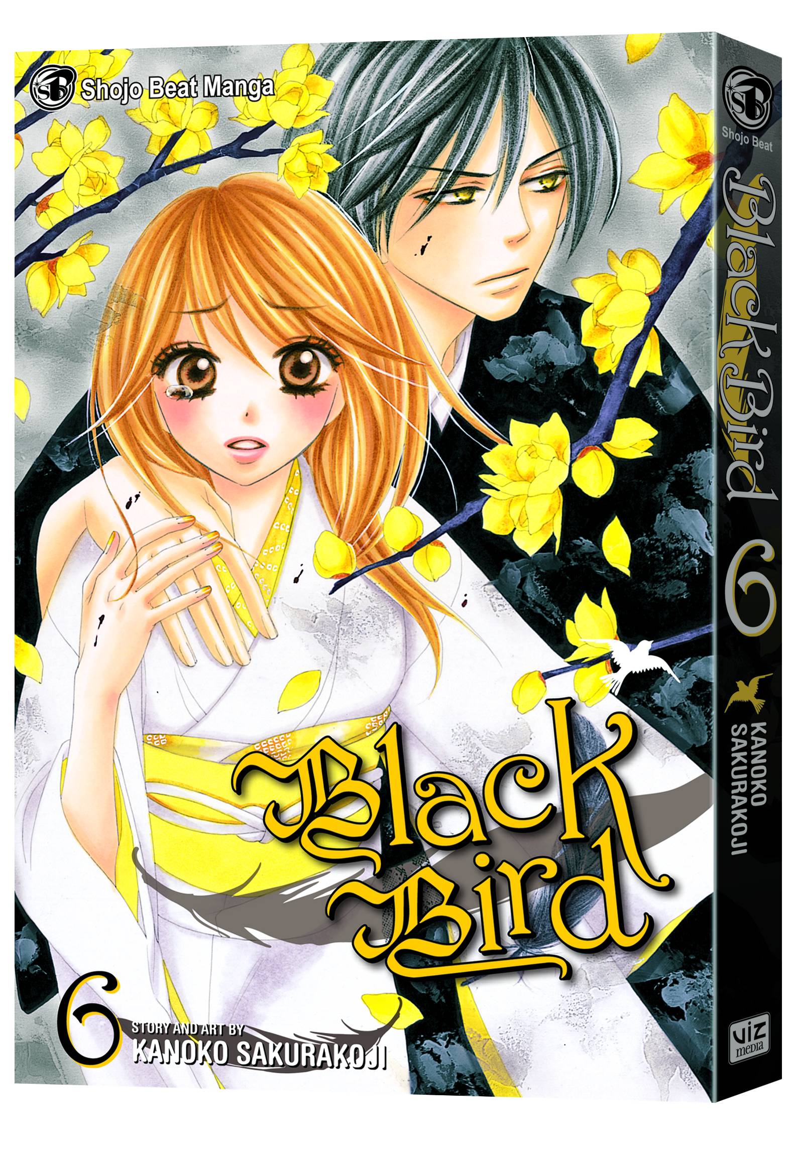 Black Bird Manga Volume 6