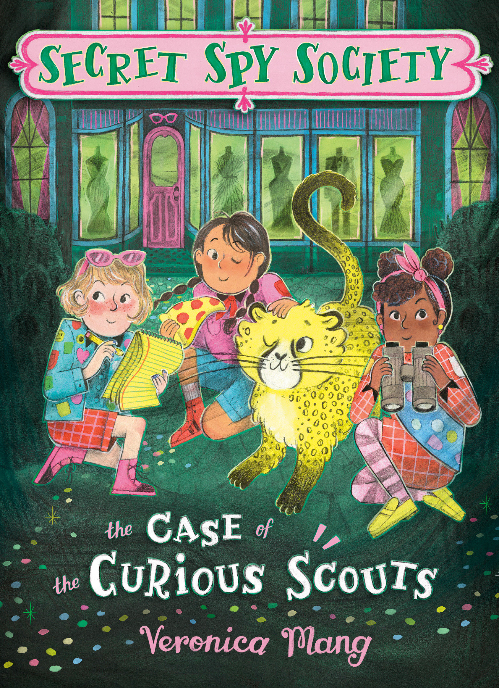 The Case Of The Curious Scouts (Hardcover Book)