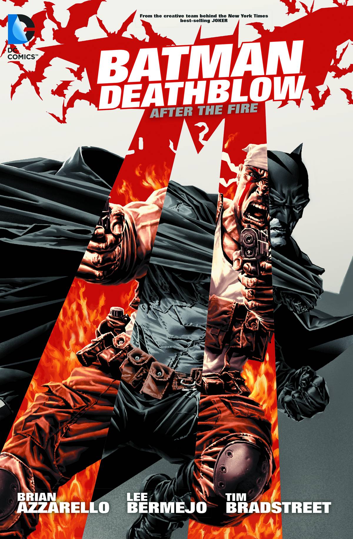 Batman Deathblow After the Fire Graphic Novel
