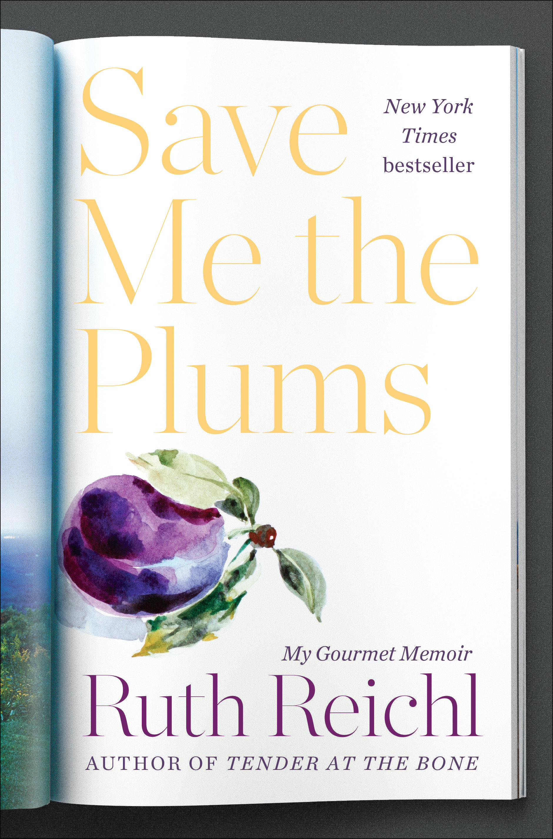 Save Me The Plums (Hardcover Book)
