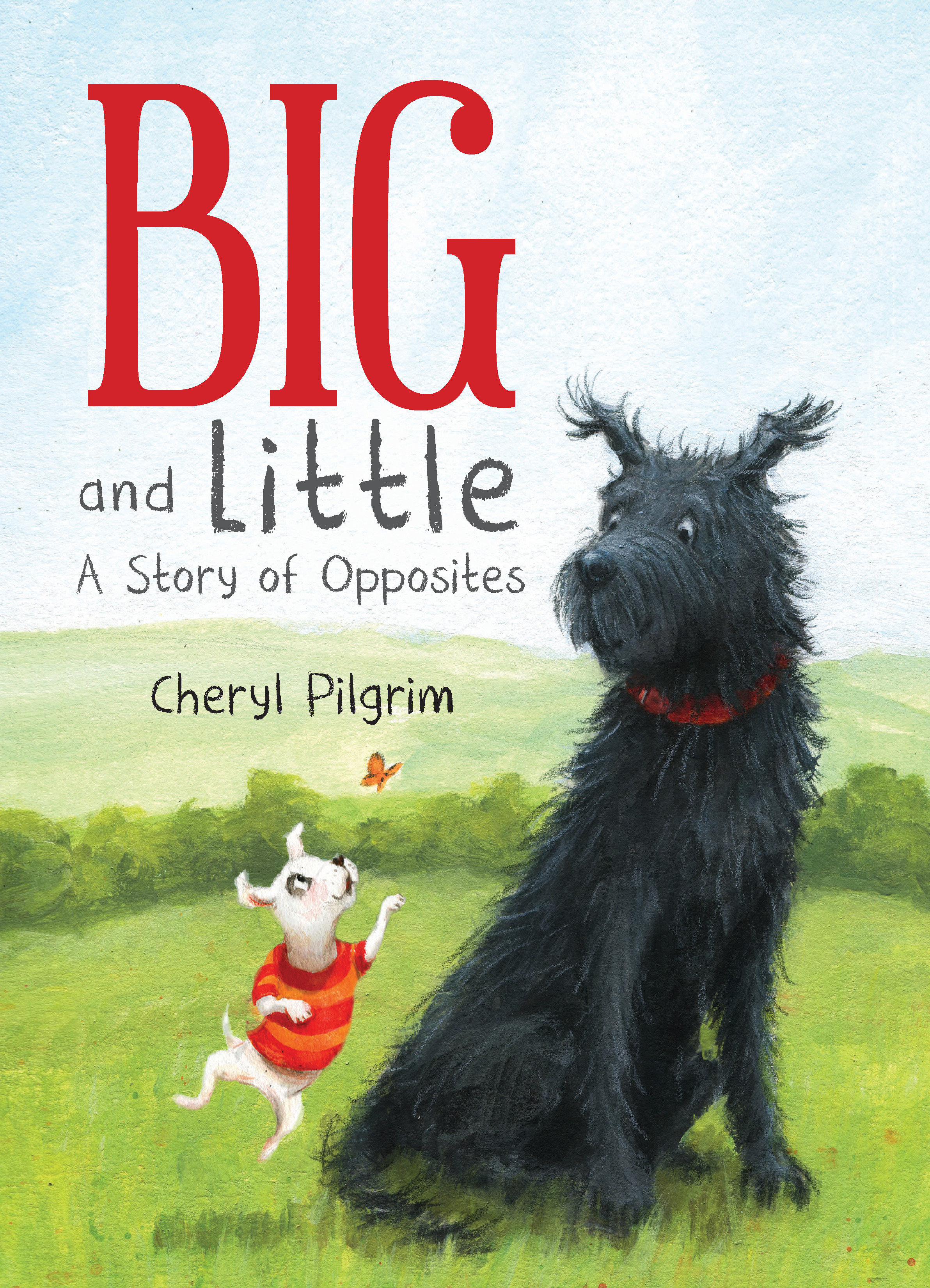 Big And Little (Hardcover Book)