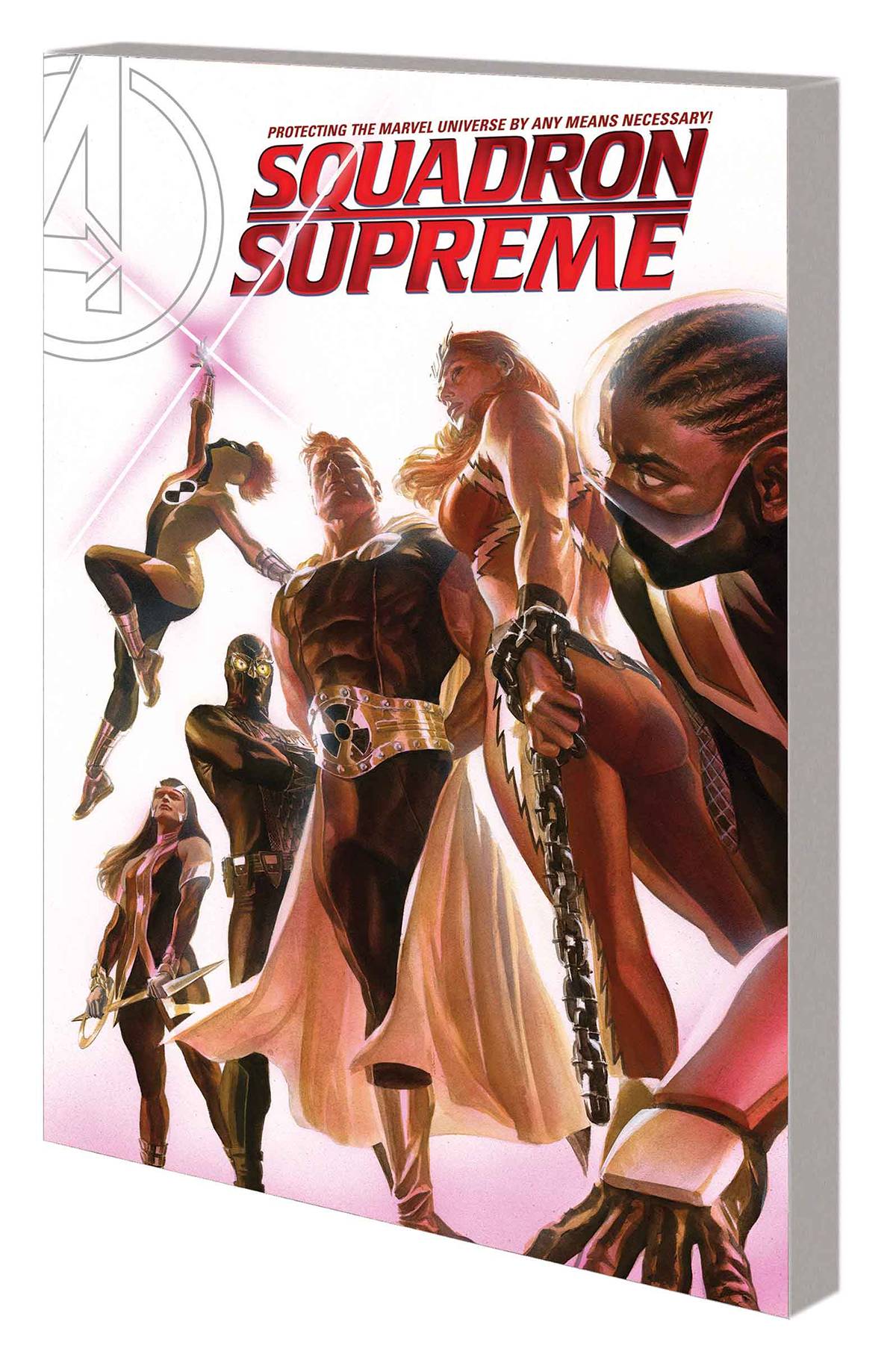 Squadron Supreme Graphic Novel Volume 1 by Any Means Necessary