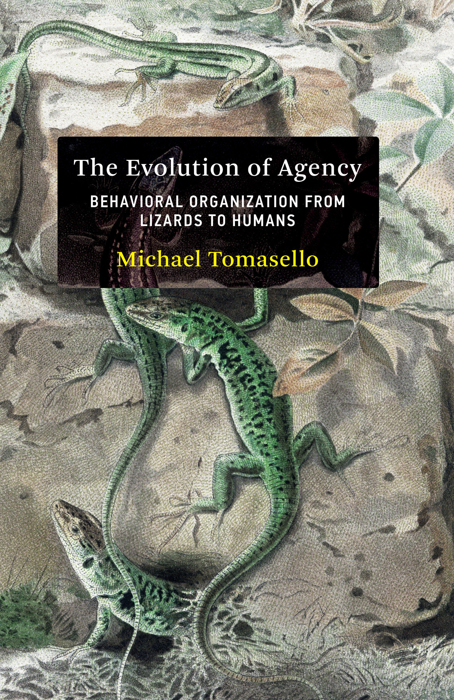 The Evolution Of Agency (Hardcover Book)