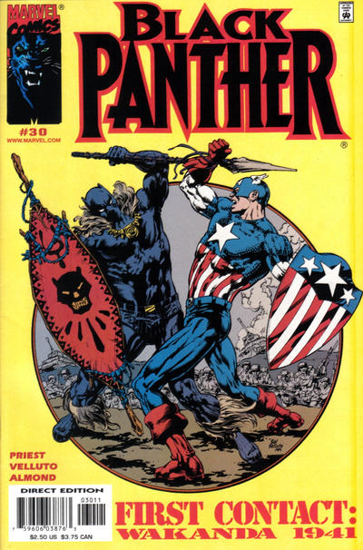 Black Panther #30-Fine (5.5 – 7)