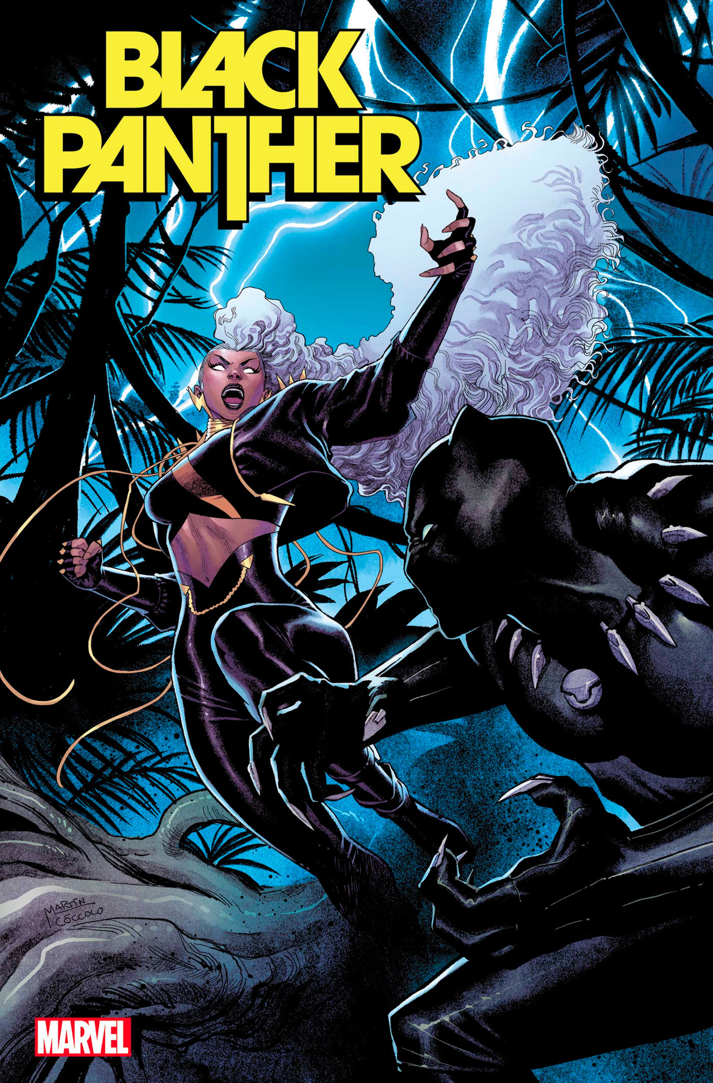 Black Panther #6 1 for 25 Incentive Coccolo Variant (2022)