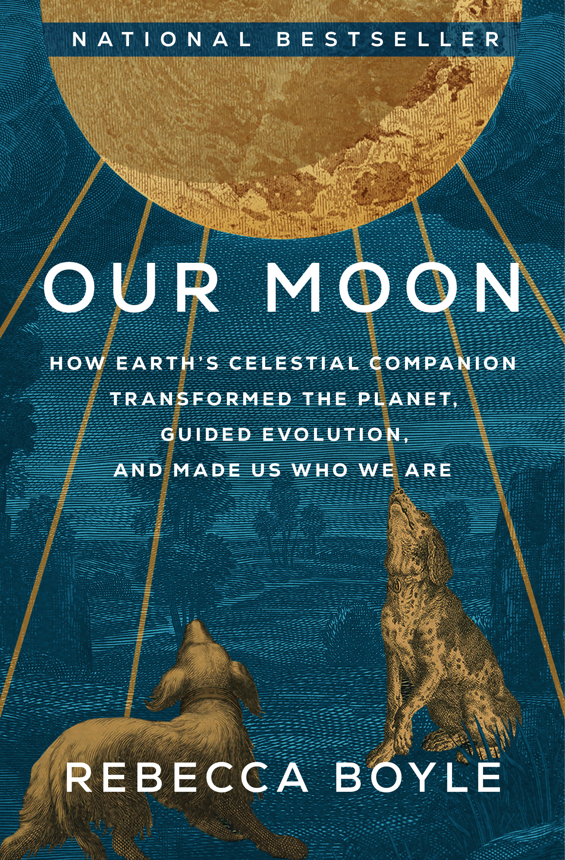 Our Moon (Hardcover Book)