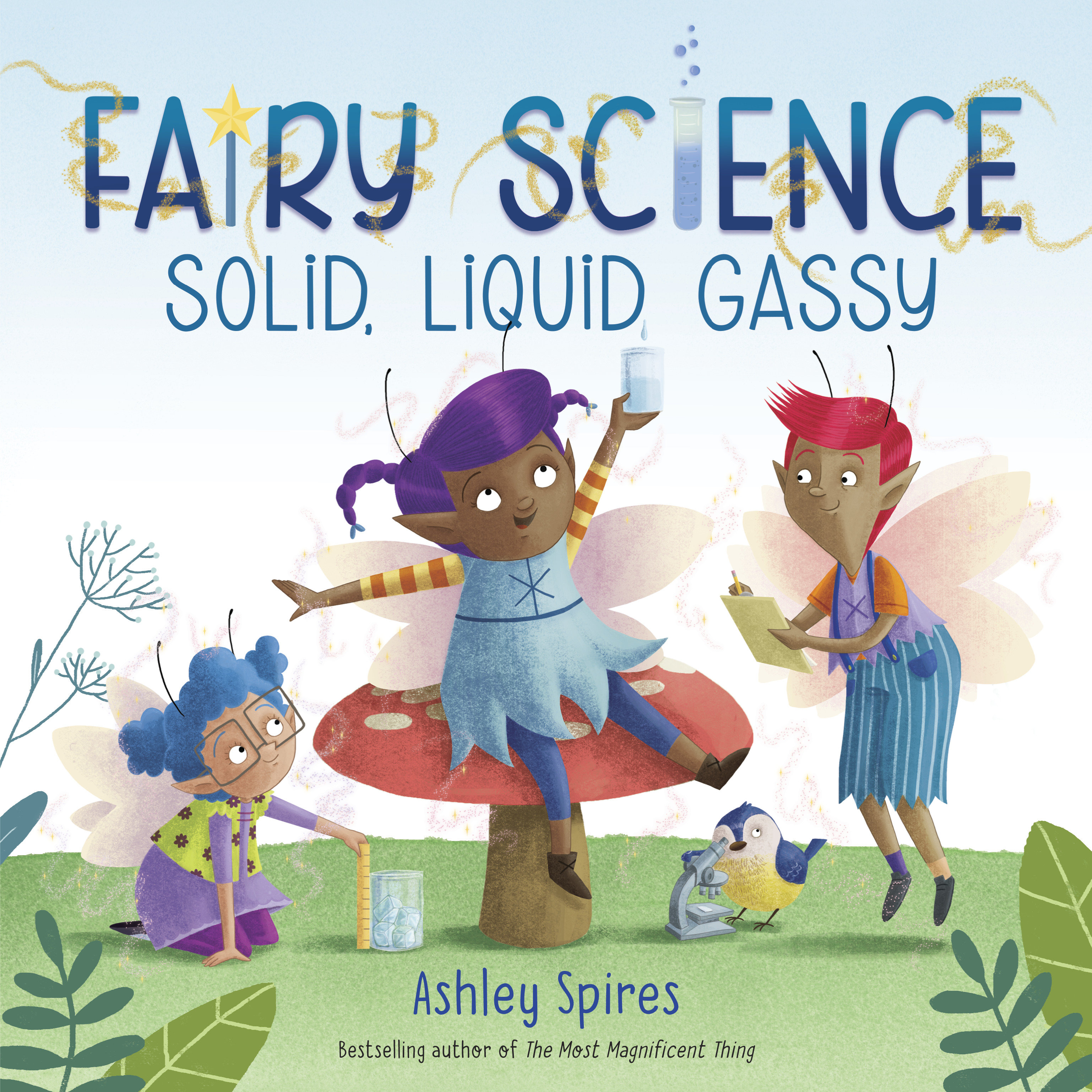 Solid, Liquid, Gassy! (A Fairy Science Story) (Hardcover Book)