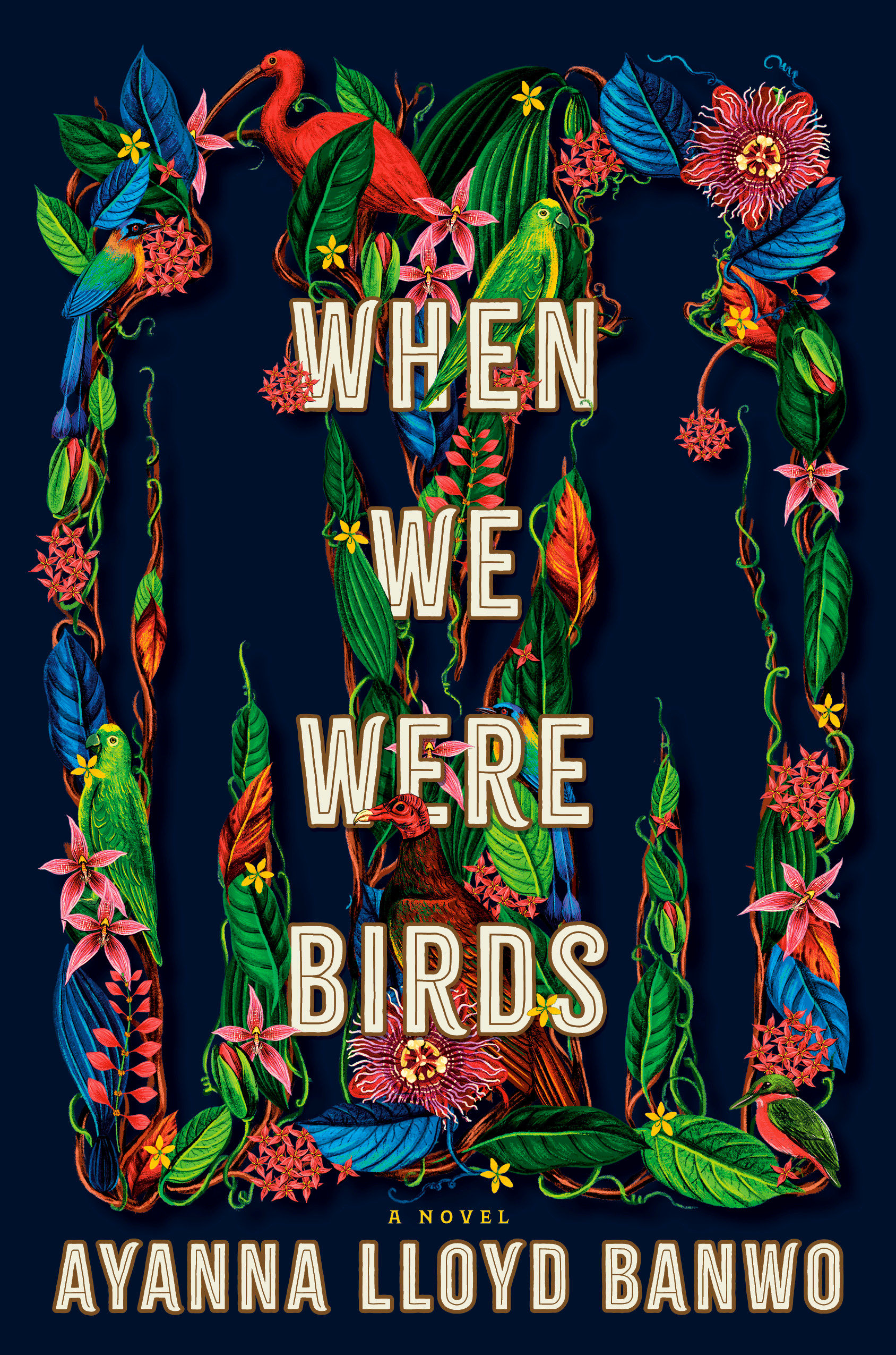 When We Were Birds (Hardcover Book)
