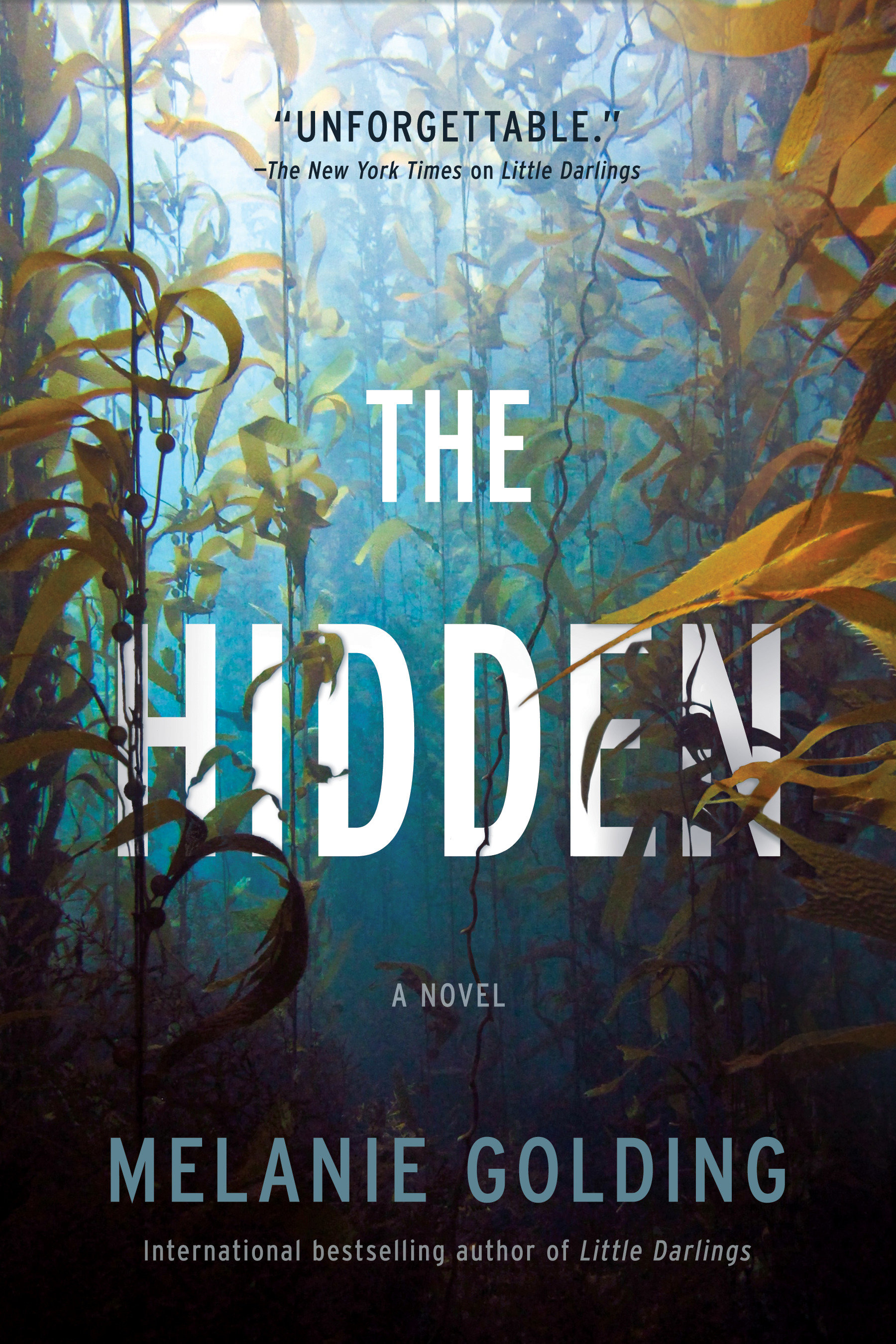 The Hidden (Hardcover Book)