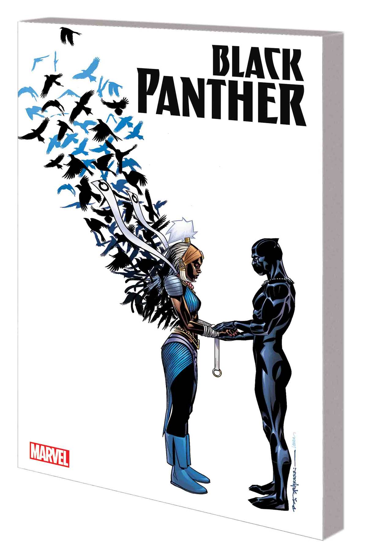 Black Panther Graphic Novel Book 3 Nation Under Our Feet