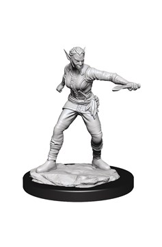 Dungeons & Dragons Nolzars Marvelous Minis Shifter Rogue Female