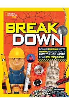 Break Down (Hardcover Book)