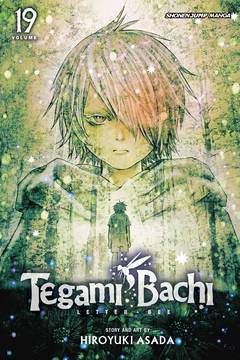 Tegami Bachi Manga Volume 19