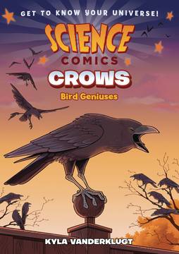 Science Comics Crows Genius Birds Graphic Novel