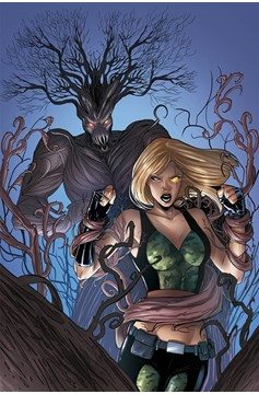 Grimm Fairy Tales Robyn Hood Ongoing #12 B Cover Ingranata Tale of Rot
