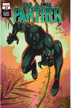 Black Panther #23 Souza Black Panther Black History Variant (2018)