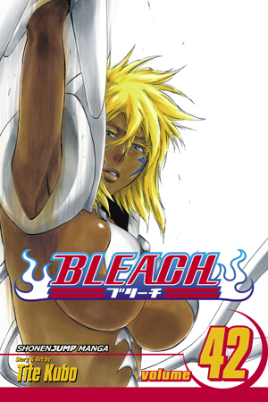 Bleach Manga Volume 42