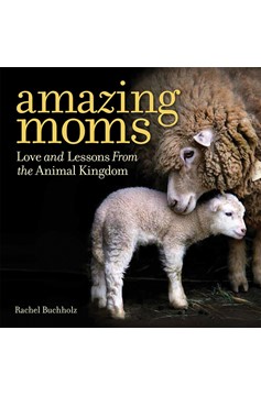 Amazing Moms (Hardcover Book)