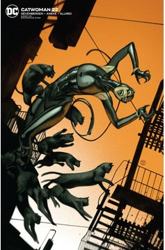 Catwoman #22 Card Stock J T Tedesco Variant Edition (2018)