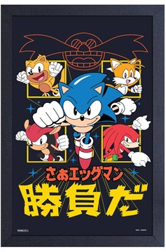 Sonic Group Japanese Framed Print