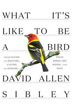 What It'S Like To Be A Bird (Hardcover Book)