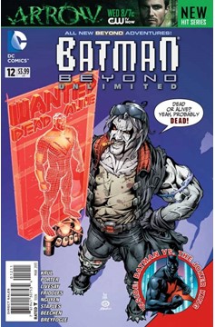 Batman Beyond Unlimited #12 (2011)